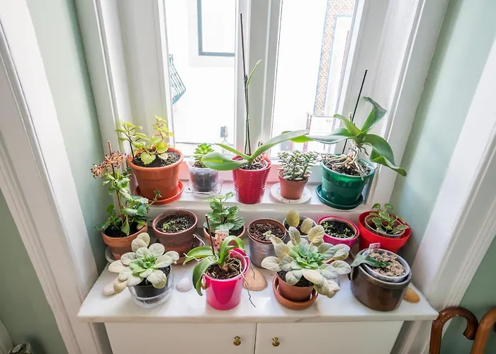 Madragoa Zero Appartement Lissabon